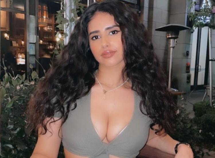 مودل آش