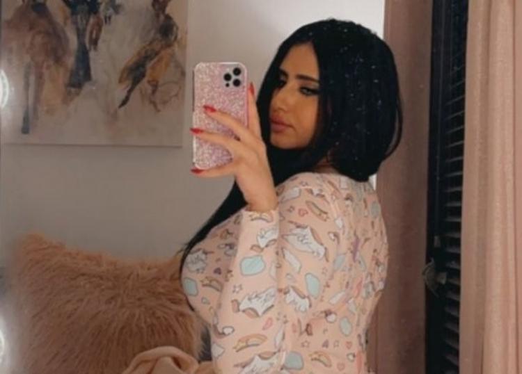 مودل آش