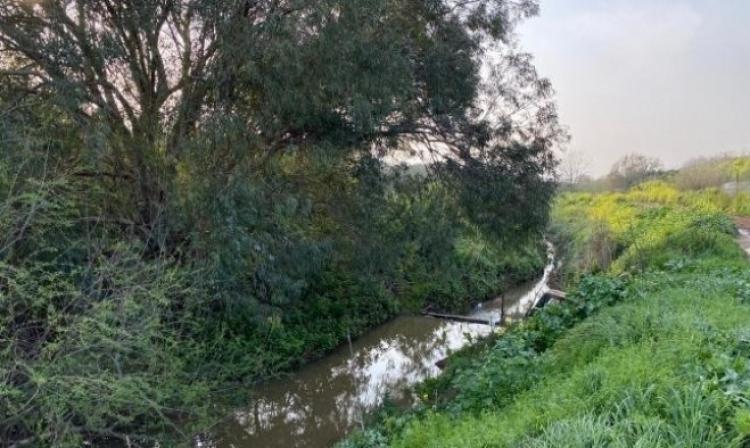 صورة تعبيرية
