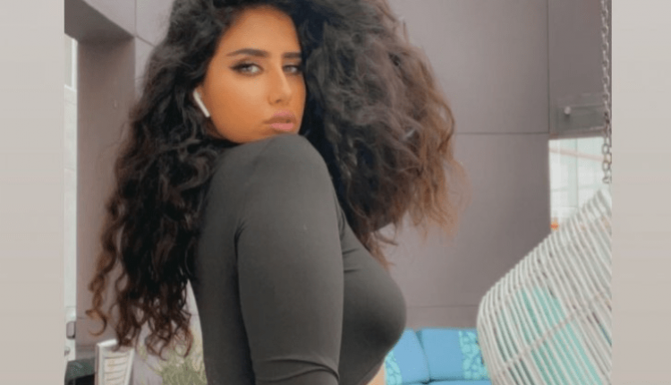 مودل آش