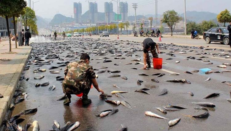 صورة توضيحية