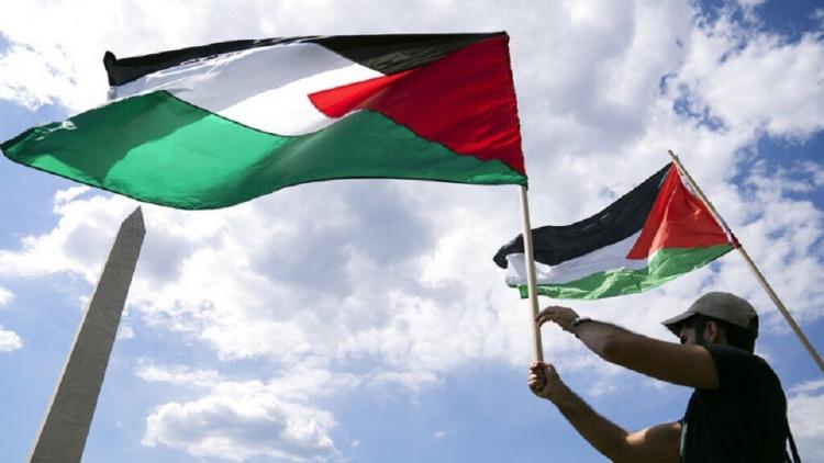 صورة توضيحية