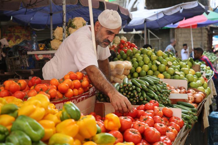 أسعار الخضار في أسواق غزة