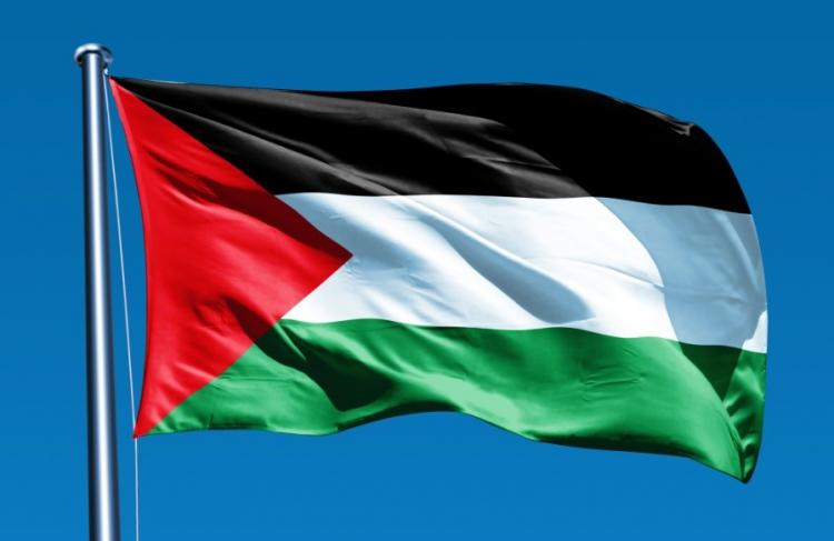 العلم الفلسطيني