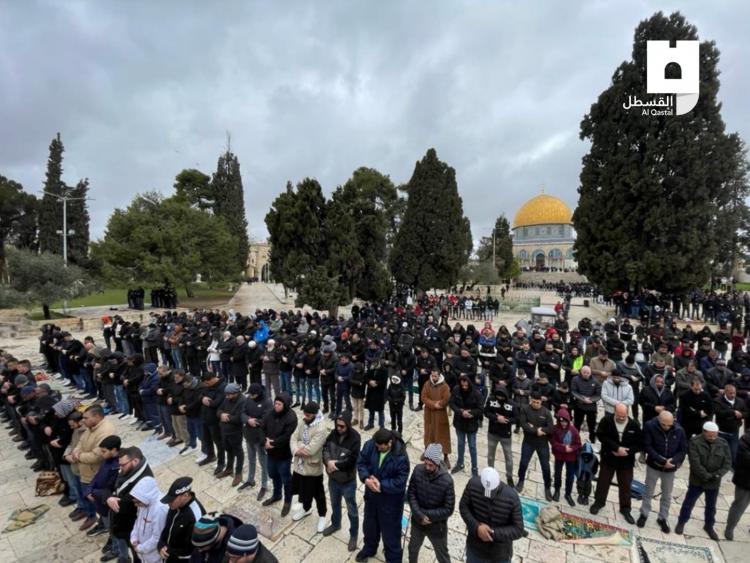 صورة ارشيفية