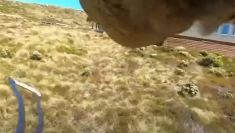 جانب من الفيديو