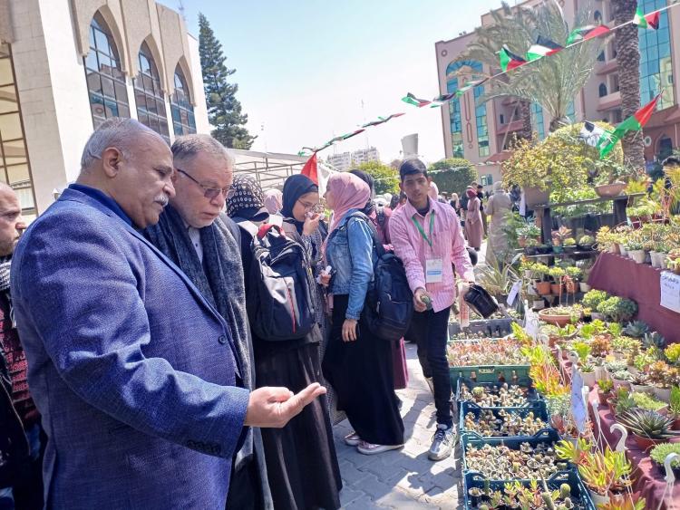 خلال الجولة