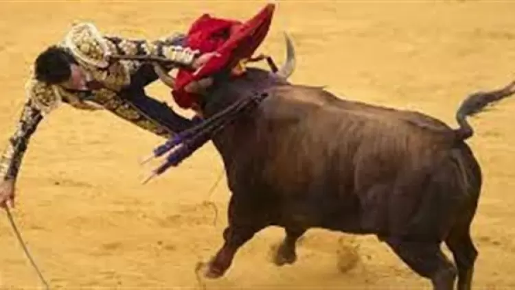 جانب من الفيديو