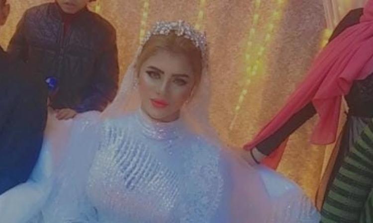 عروس القليوبية
