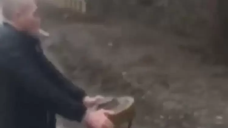 جانب من الفيديو