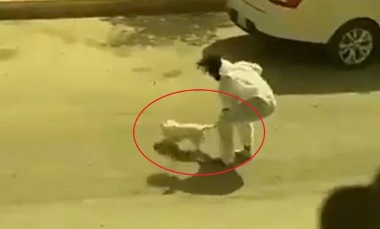 مواطن سعودي يعذب كلباً