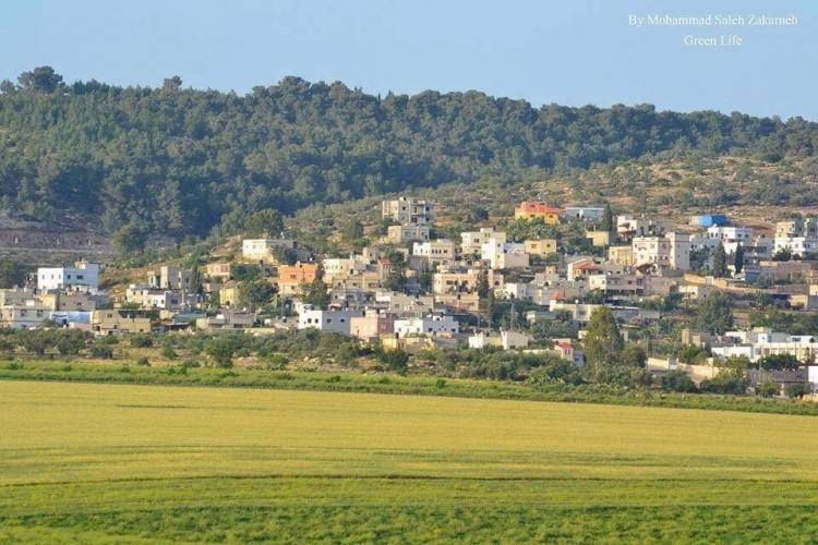 قرية عربونة