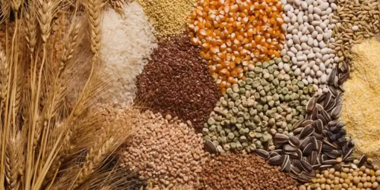 صورة توضيحية