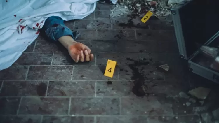 صورة توضيحية