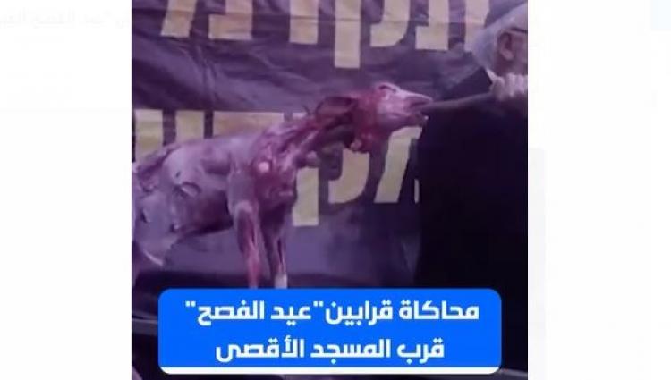 جانب من الفيديو