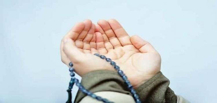 صورة توضيحية