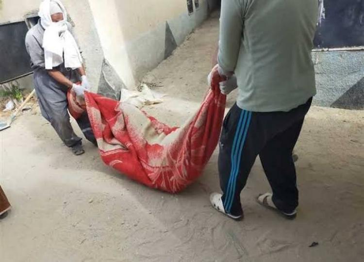 صورة توضيحية
