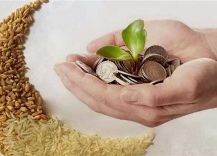 صورة توضيحية
