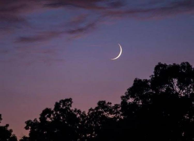 صورة توضيحية