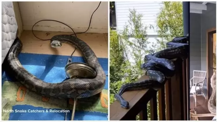 جانب من الفيديو