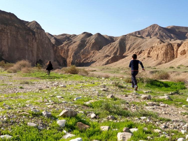 النبي موسى