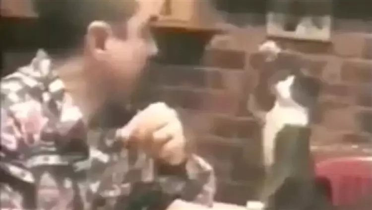 جانب من الفيديو