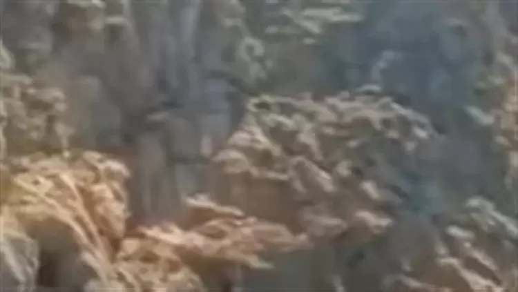 جانب من الفيديو