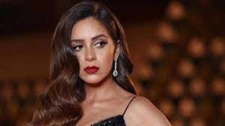 الفنانة جميلة عوض