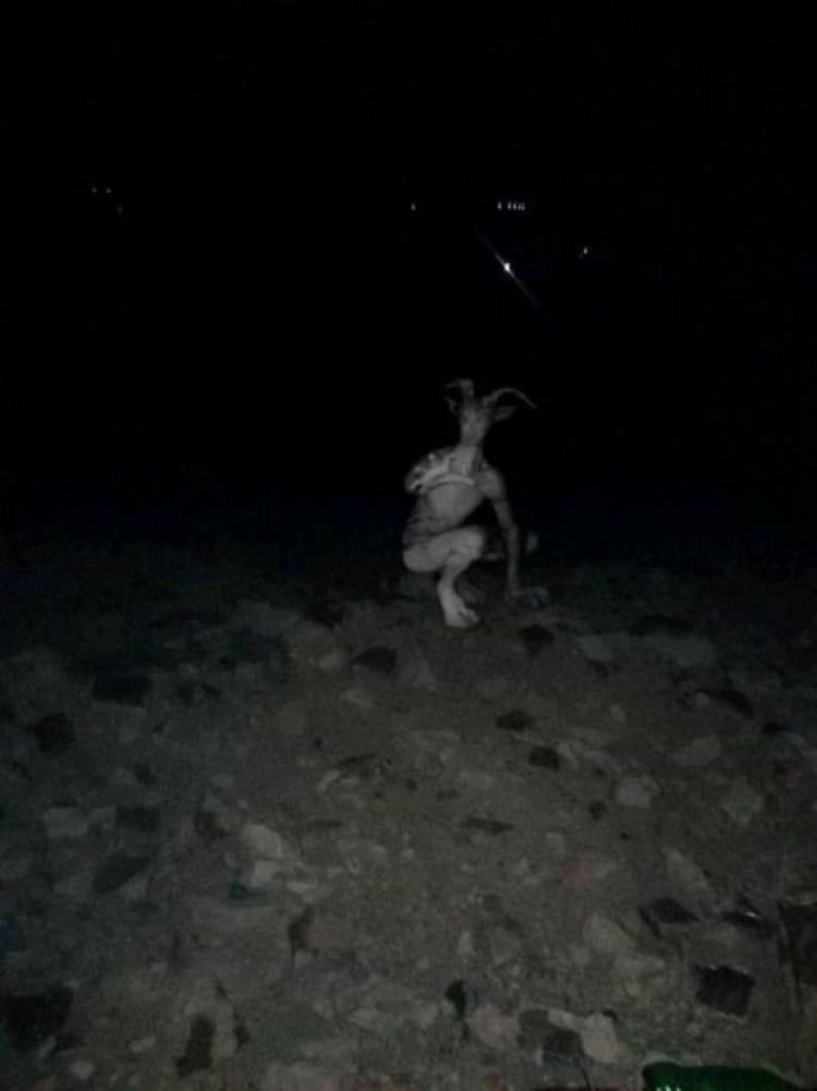 صورة ارشيفية