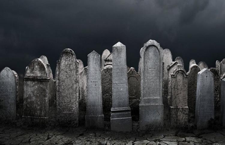 صورة توضيحية