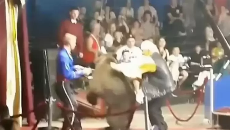 جانب من الفيديو