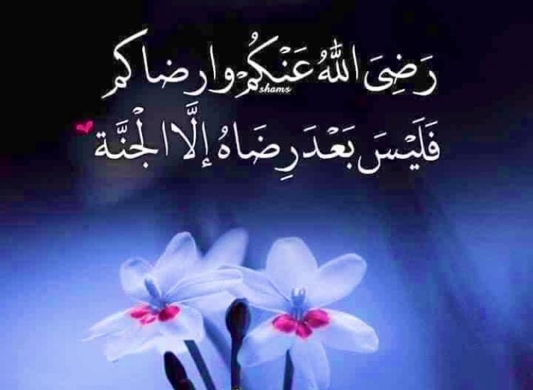 صورة توضيحية