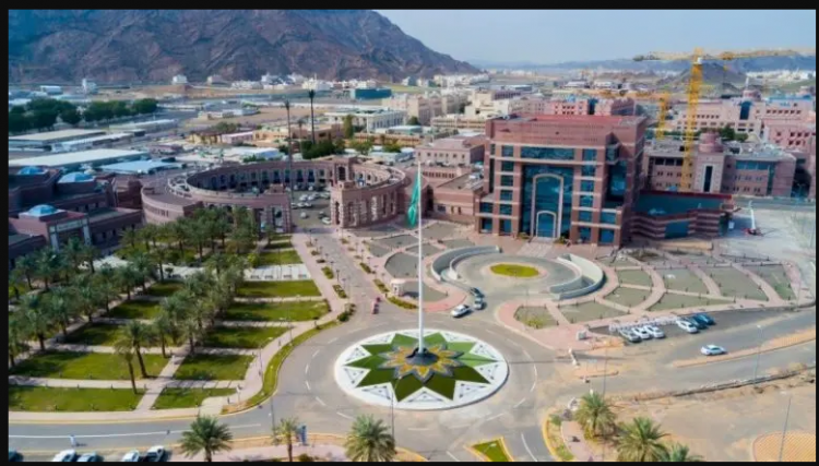 جامعة طيبة للعام الدراسي
