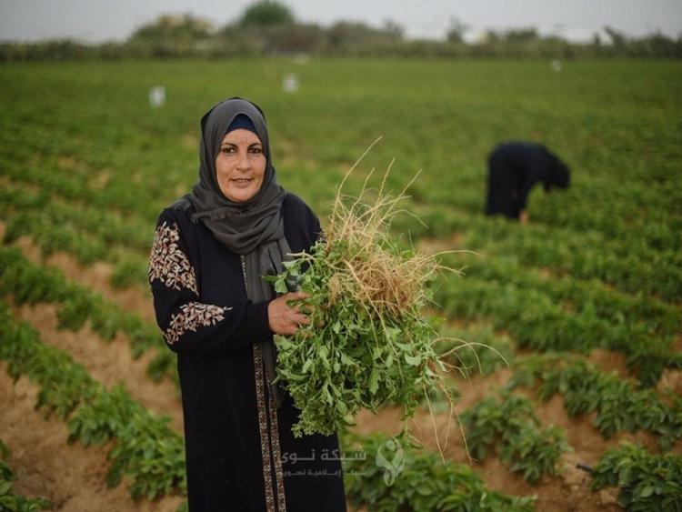 عمل النساء