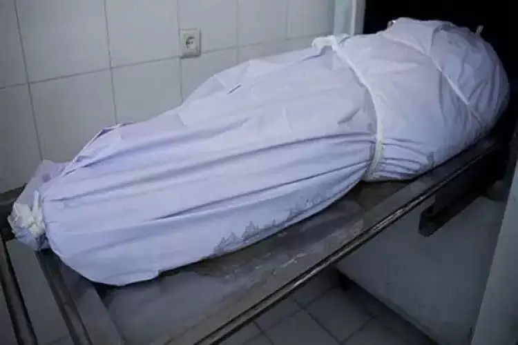 صورة توضيحية