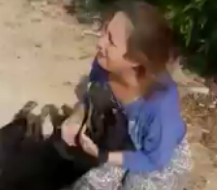 جانب من الفيديو