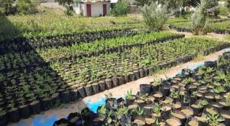 صورة توضيحية