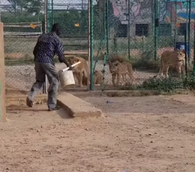 جانب من الفيديو