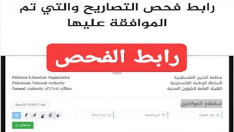 رابط فحص
