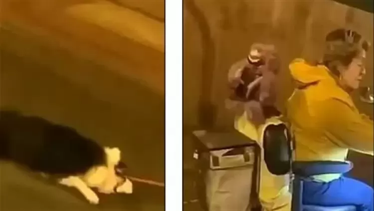 جانب من الفيديو