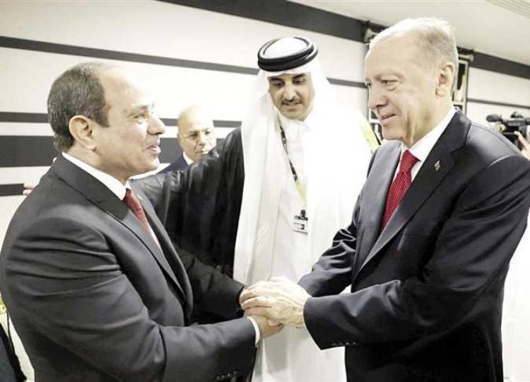 أردوغان والسيسى