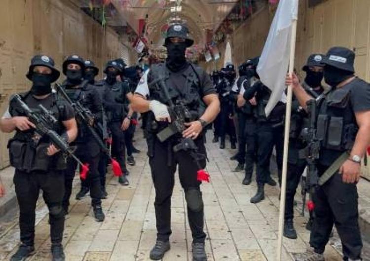 مجموعات عرين الاسود