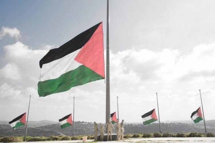 تنكيس علم فلسطين - أرشيفية