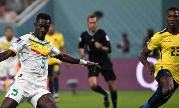 نتيجة مباراة السنغال والإكوادور في كأس العالم 2022