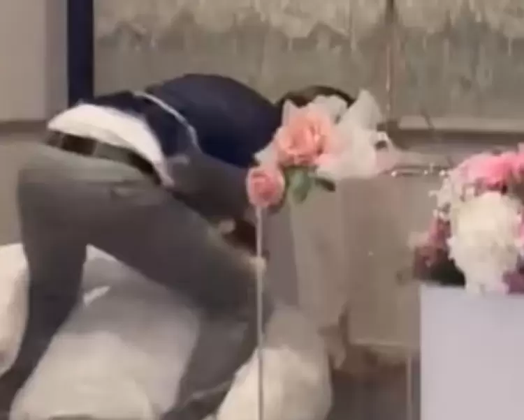 جانب من الفيديو