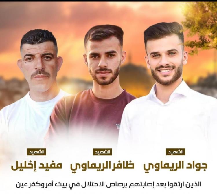 الشهداء جواد الريماوي، ظافر الريماوي، مفيد إخليل