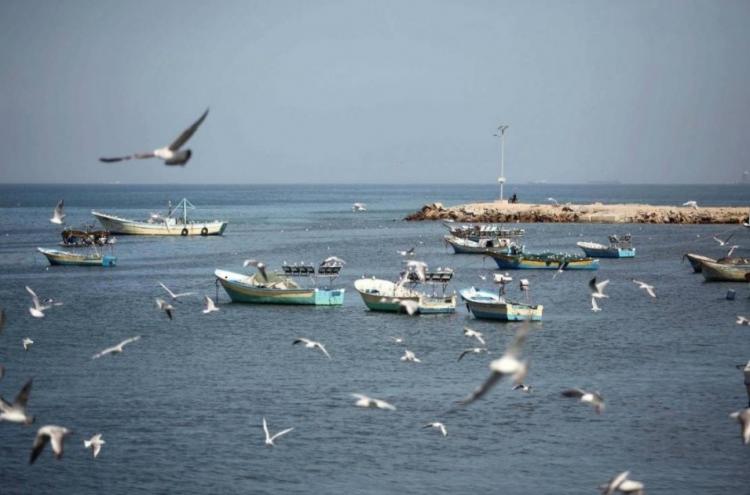 صورة تعبيرية