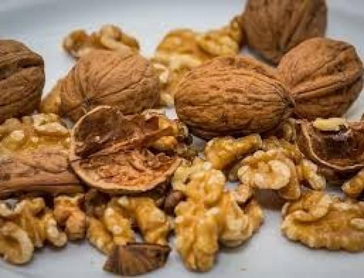 فوائد الجوز
