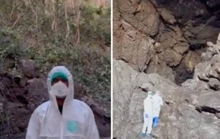 ظهور عالم الفيروسات المتهم بنشر فيروس كورونا وسط ملايين الكائنات الغريبة