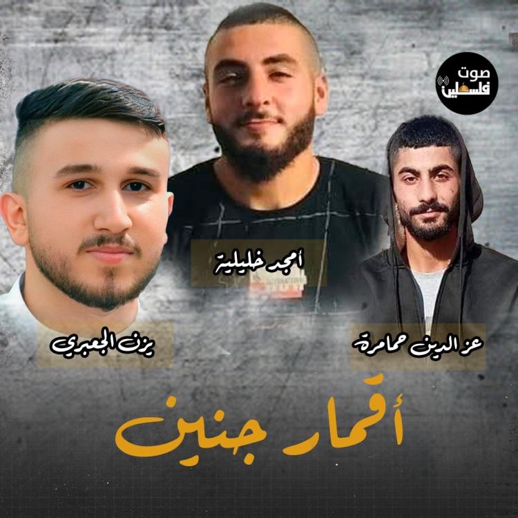 شهداء جنين